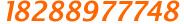 联系电话